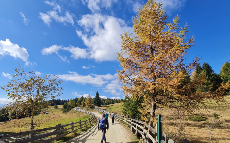 Goldener Herbst  